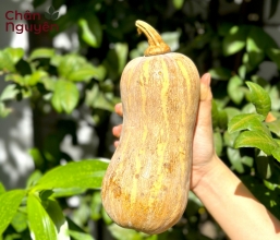 Bí đỏ (bán theo ký)