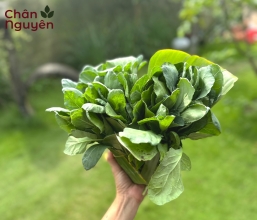 Cải rổ (200g)
