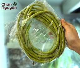 Đậu đũa 